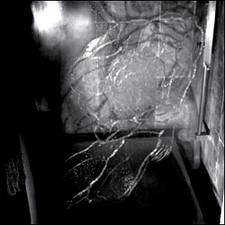 …As Everything Is Tragedy